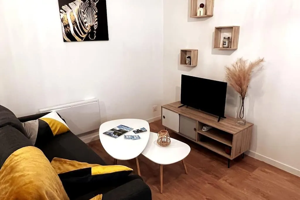 Savane - Appart. Tout Equipe Renove, Avec Terrasse Vichy France
