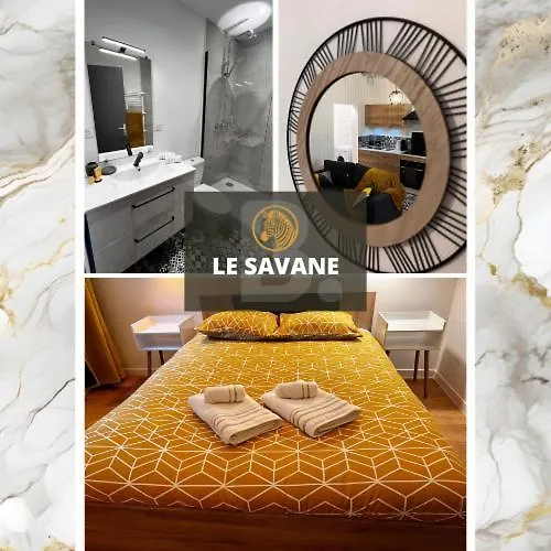 Savane - Appart. Tout Equipe Renove, Avec Terrasse Vichy Apartment